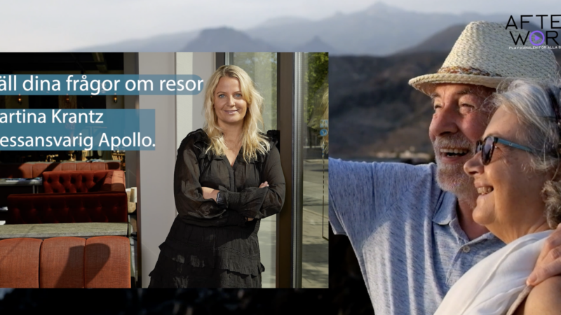 Skärmavbild 2024-01-19 kl. 11.41.28