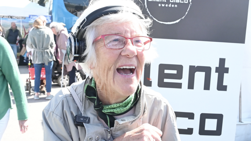 Skärmavbild 2024-05-08 kl. 09.27.31