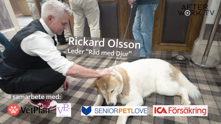 RADMEDDJUR_Media File kopiera