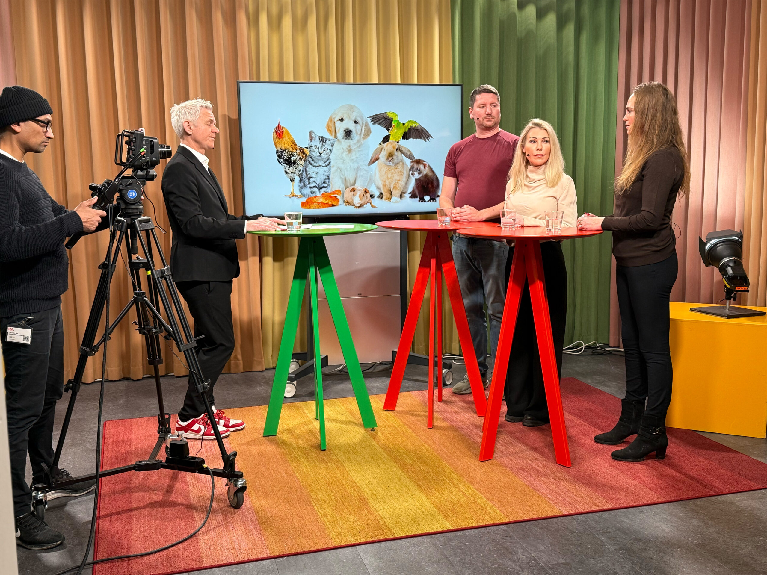 Nu lanserar vi kursportalen Råd Med Djur