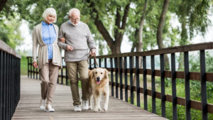 happy senior couple walking with dog across wooden bridge in park