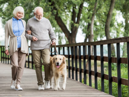happy senior couple walking with dog across wooden bridge in park