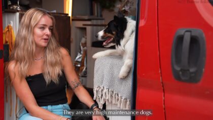 Vad ska man tänka på när man reser med djur ut i Europa_ thumbnail 1