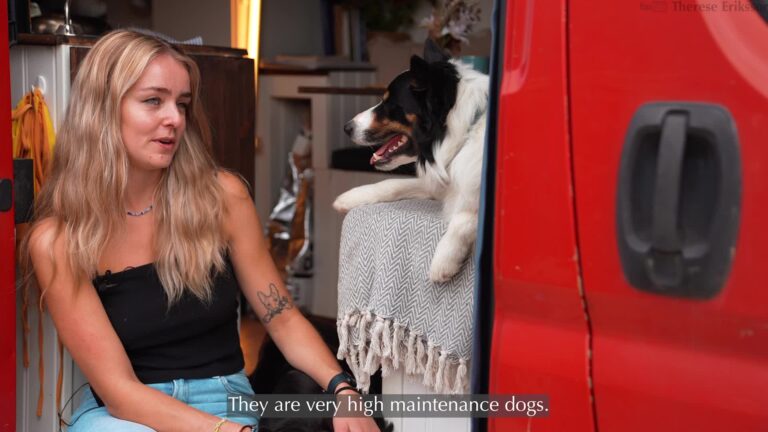 Vad ska man tänka på när man reser med djur ut i Europa_ thumbnail 1