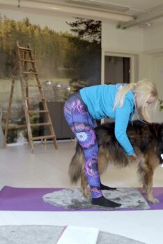 Hundyoga och praktiska tips för skällande hundar thumbnail 1 (2)