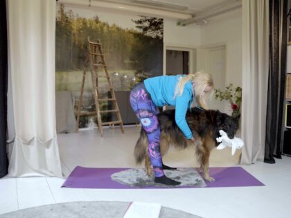 Hundyoga och praktiska tips för skällande hundar thumbnail 1 (2)